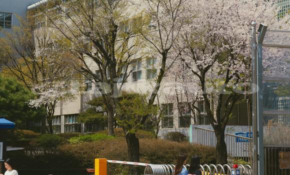 Buy Used Acura EL Green Car in Buston in Sughd Buy Used Acura EL Green Car in Buston in Sughd