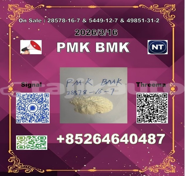 Big with watermark 2026 03 18 110646 %e5%89%af%e6%9c%ac 2 