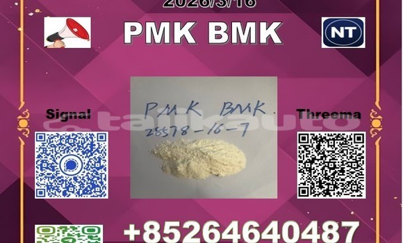 Buy PMK 28578-16-7 in Ayni in Sughd Buy PMK 28578-16-7 in Ayni in Sughd
