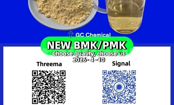 Buy Used Citroen AX Blue Car in Chkalov in Sughd