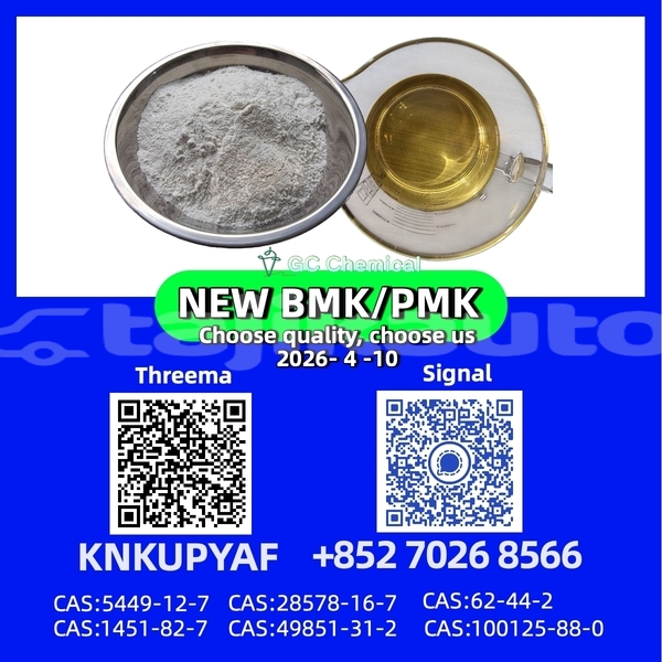 Big with watermark bolwell nagari karotegin tursunzoda 14703