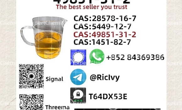 Buy Used Bitter Type 3 Black Car in Chkalov in Sughd