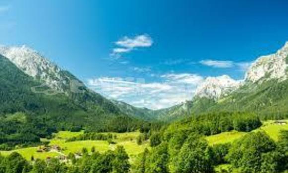 Medium with watermark images 7 