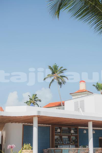 Big with watermark acura ilx sughd ayni 14841