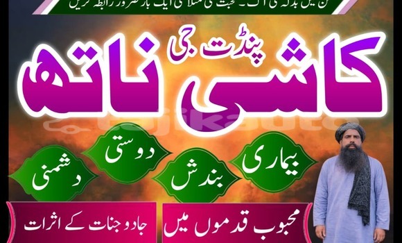 Buy Used Acura Integra Brown Car in Ayni in Sughd Buy Used Acura Integra Brown Car in Ayni in Sughd