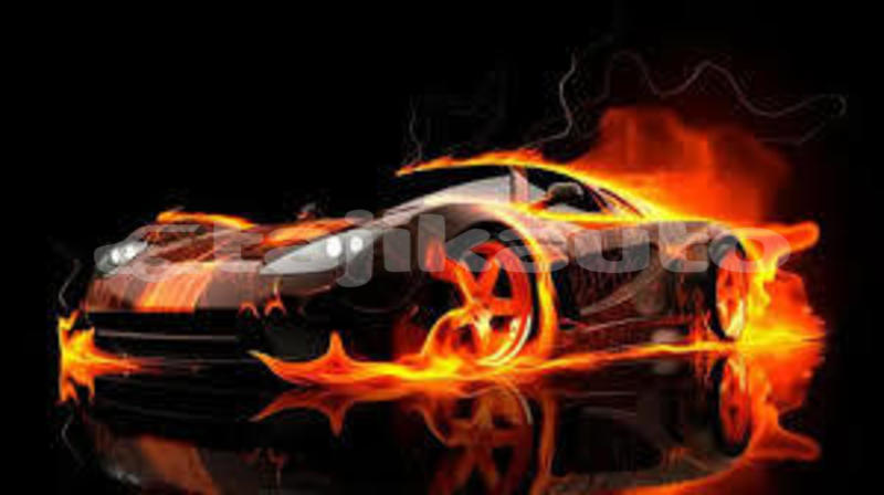 Big with watermark 14