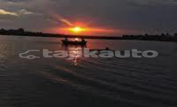 Medium with watermark images 14