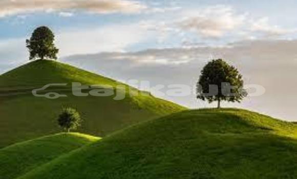 Medium with watermark images 9