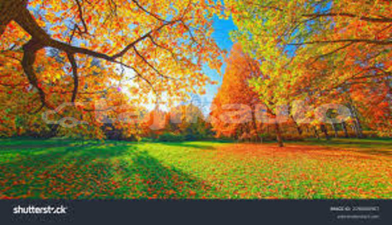 Big with watermark images 5 