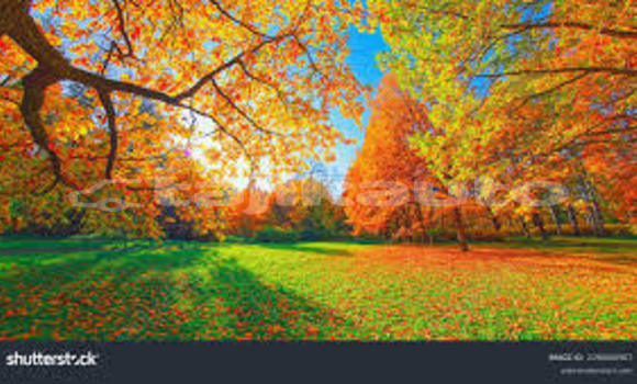 Medium with watermark images 5 