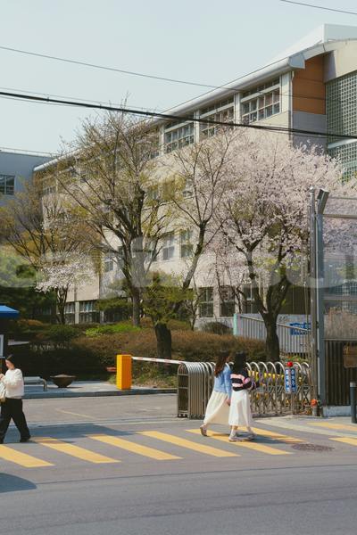 Big with watermark acura csx sughd buston 15348