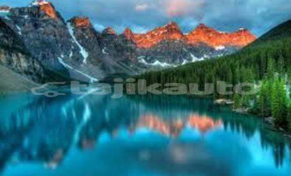 Medium with watermark download 8