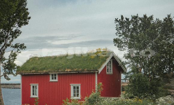 Buy Used Acura EL Blue Car in Ayni in Sughd