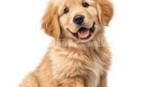 Medium with watermark download 11