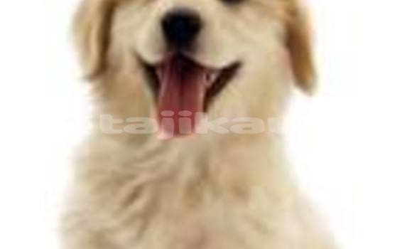 Medium with watermark download 10