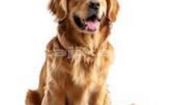 Medium with watermark download 9 