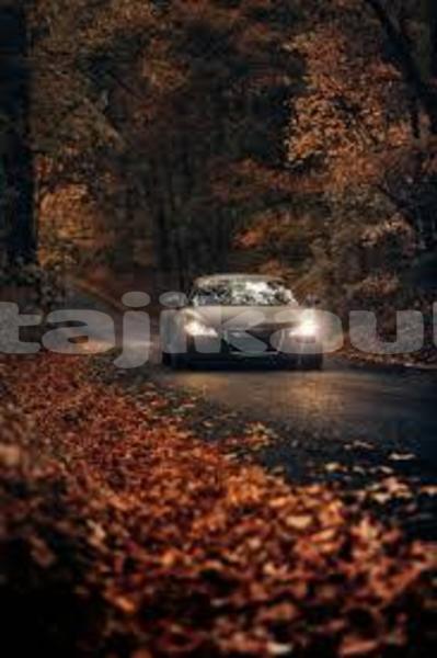 Big with watermark 11