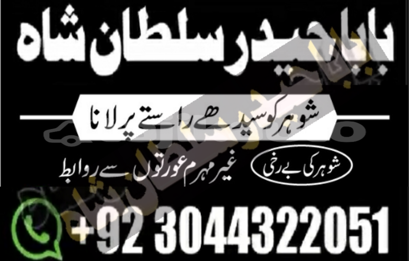 Big with watermark adler diplomat sughd chkalov 15649