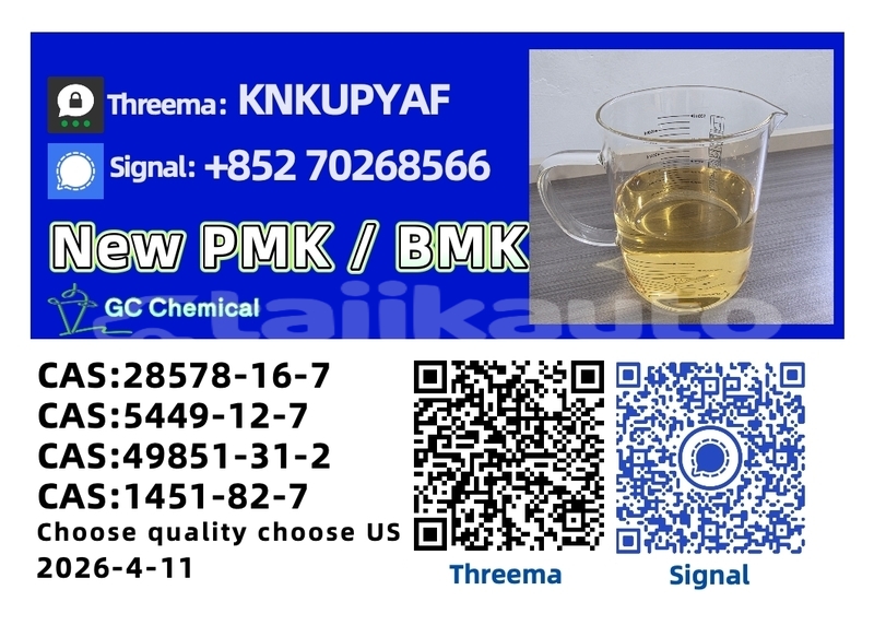 Big with watermark bristol blenheim dushanbe dushanbe 15665