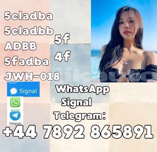 Big with watermark screenshot 95