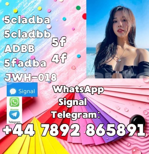 Big with watermark screenshot 100