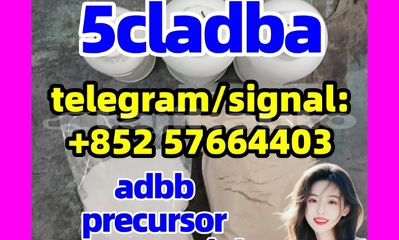 Medium with watermark 5cl4