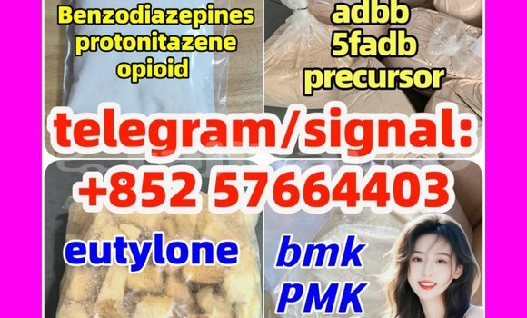 Medium with watermark z1