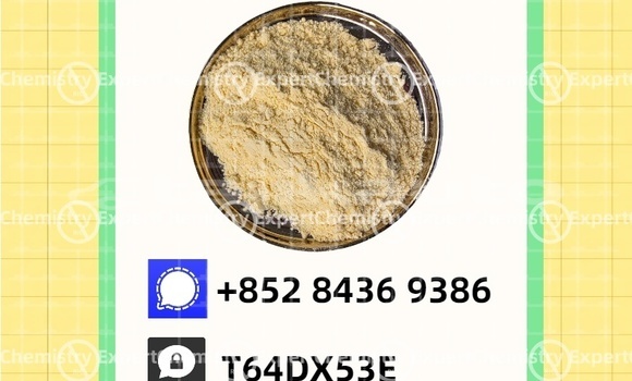 Buy Used Aurus Senat Black Car in Buston in Sughd