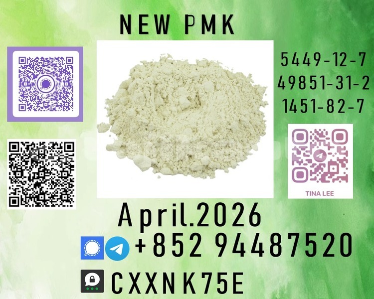 Big with watermark p26