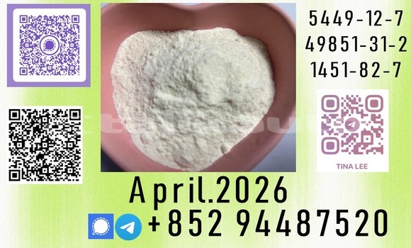 Medium with watermark p63