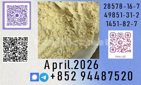 Medium with watermark b60