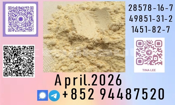 Medium with watermark b63