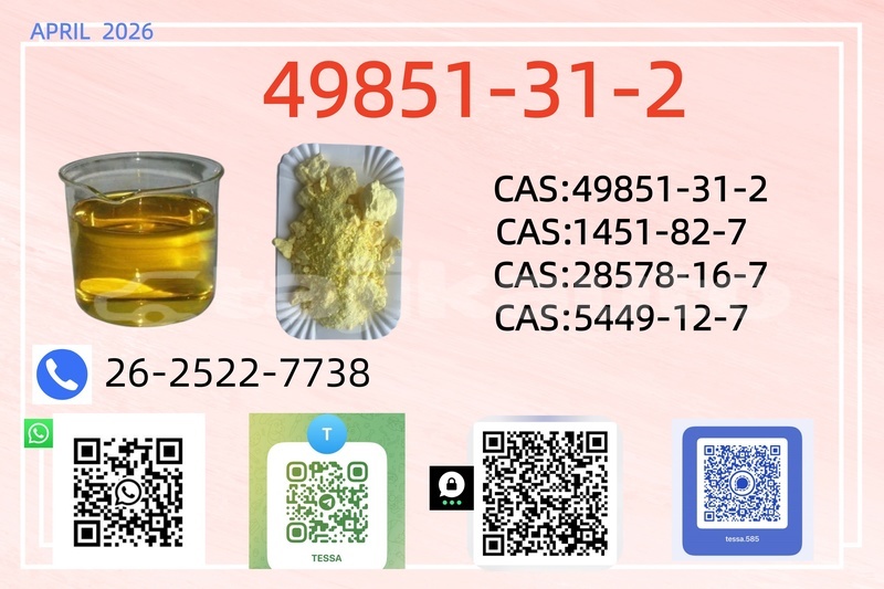 Big with watermark 0413 49851