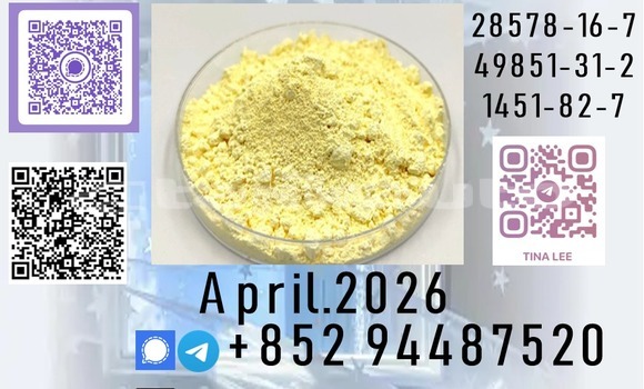 Medium with watermark b64