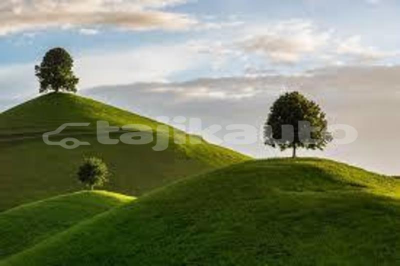 Big with watermark images 9 