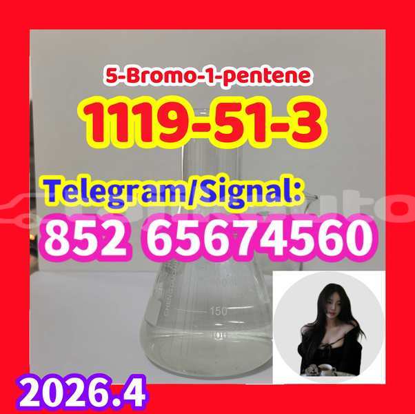 Big with watermark a1119 51 3 %e5%89%af%e6%9c%ac