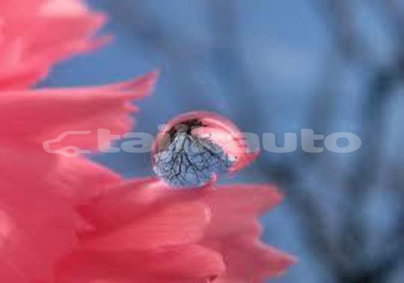 Big with watermark images 2 