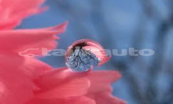 Medium with watermark images 2 