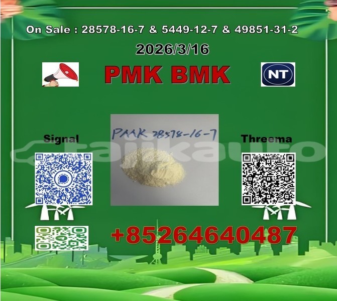 Big with watermark 2026 03 18 111213