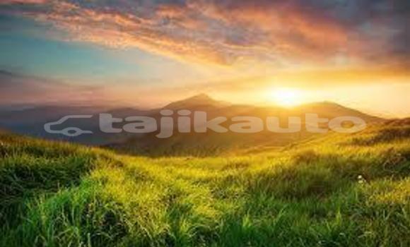 Medium with watermark images 1