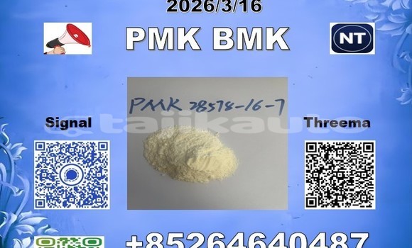 Buy BMK 5449-12-7 in Farkhor in Khatlon Buy BMK 5449-12-7 in Farkhor in Khatlon