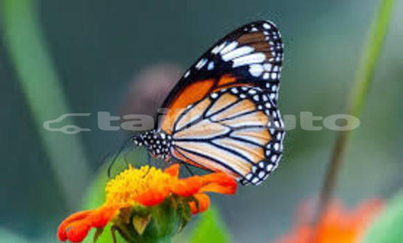 Medium with watermark download 9