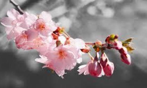 Medium with watermark download 6