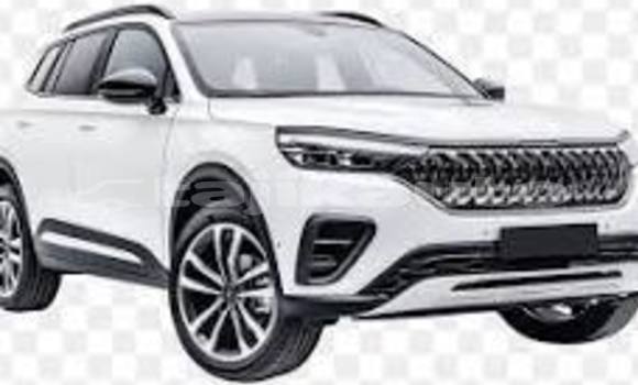 Buy Used Hyundai H200 Brown Truck in Vakhsh in Khatlon