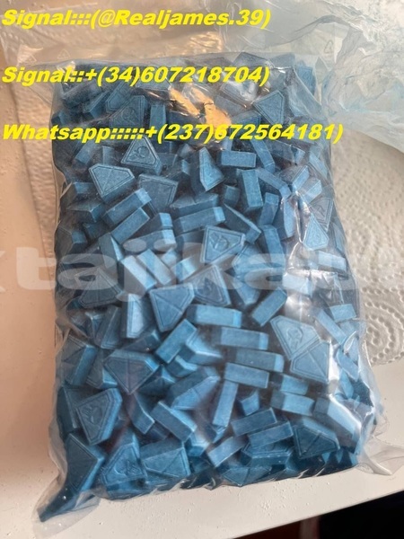 Big with watermark aermacchi ala d oro sughd uroteppa 16097