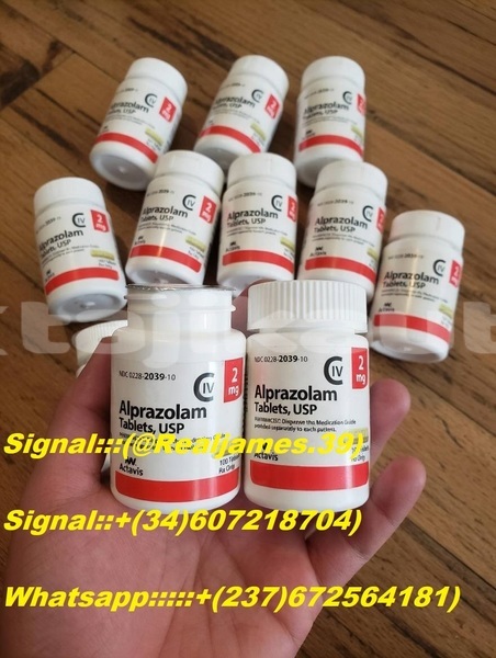 Big with watermark aermacchi ala d oro sughd uroteppa 16097