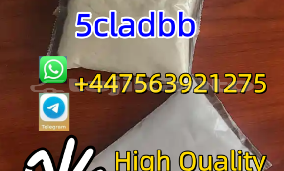 Buy New Alfa Romeo 156 Black Car in Garm in Karotegin