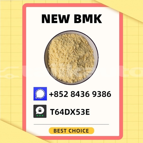 Big with watermark bedford cfs sughd khujand 16118