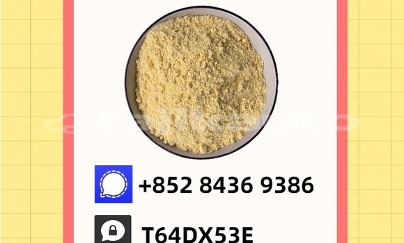 Buy Used Bedford CFS Blue Car in Khujand in Sughd