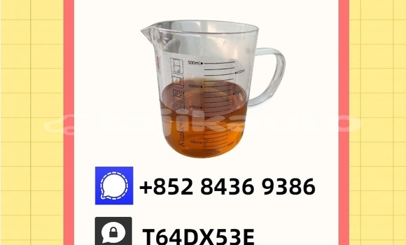 Buy Used Acura EL Brown Car in Kumsangir in Khatlon